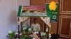 Exotic Farming Thrives in Indian Kashmir Responding to Demand for Non-Indigenous Vegetables  