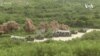 美國批准新一波對台軍售中國軍機11架次逾越台海中線