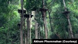 ມຸມກິດຈະກໍາໄຕ່ເຊືອກເທິງຕົນໄມ້ສູງ ໃກ້ກັບສ່ວນນຶ່ງຂອງນໍ້າຕົກ.