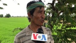 ព័ត៌មានពេលរាត្រី ១៦ កក្កដា៖ កសិករ​ទទូច​ឱ្យ​រដ្ឋាភិបាល​ថ្មី​រក​វិធីសាស្ត្រ​ទប់ទល់ការប្រែប្រួល​អាកាសធាតុ និង​​ការ​បង្អាប់​ថ្លៃ​ស្រូវ