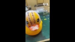 社民連黃鴨示威道具