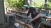Wood Sculptor