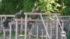 Ukraine’s military schools prep new generation of fighters 