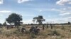 Camponeses agricultura angola 