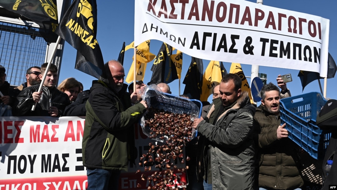 Farmers dump spoiled chestnuts on the pavement at the Agrotica agricultural fair in Thessaloniki for the third day, on Feb. 3, 2024, as they protest against rising operating and production costs.