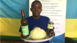 Murisanga