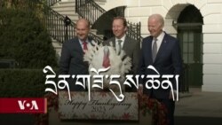 ཨ་རིའི་དྲིན་གཟོའི་དུས་ཆེན། 