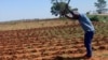 UMnangagwa Uzitshaya Isifuba Ngohlelo Lwegatshopo Emhlanganweni weCOP28 Esithi Soluqede Indlala eZimbabwe