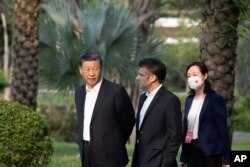 中國領導人習近平在廣州市的一個花園散步。 （2023年4月7日）