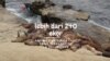 Jalan Yuk! Ke Kawasan Pinggir Laut La Jolla di San Diego