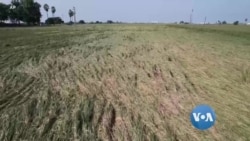 ရာသီဥတုဒဏ်ခံနိုင်တဲ့  စိုက်ပျိုးရေး နည်းစနစ်