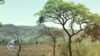ካማሺ ውስጥ በተከፈተ ጥቃት ሰዎች ተገደሉ