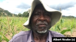 Mr. Elias Dube, a rural farmer appealing for tractors from the government