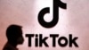Is Banning TikTok Constitutional?
