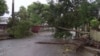 A tree lays across a street in Quelimane, Mozambique, March 12, 2023. 
