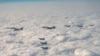 美國B-1B戰略轟炸機再次飛臨南韓 對平壤進行威懾