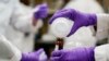 Biden administration imposes first-ever national drinking water limits on toxic PFAS 