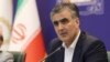 رئیس کل بانک مرکزی ایران از «آزادسازی منابع ارزی توقیف‌شده» در کره جنوبی خبر داد
