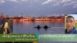 རྒྱ་གར་བྱང་ཕྱོགས་ཀྱི་མཚོ་གྲགས་ཅན་DAL LAKE ལ་ཉམས་རྒུད་ཚབས་ཆེ་བྱུང་བ། 