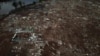 Brazil floods leave trail of unprecedented devastation