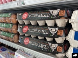 Cartons of eggs are shown in a grocery store, April 11, 2023, in Surfside, Florida.