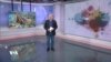 Bernameya Nû ya Heftreng 28-4-2024