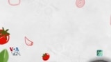 سبزی پلو با ماهی به روایت یک گیلک در پایتخت آمریکا 