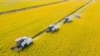 Foto udara menunjukkan kombinasi panen padi di Nantong, provinsi Jiangsu, China timur Oktober 2023 (foto: dok). Harga pangan global turun dari rekor tertingginya pada tahun 2022, kecuali harga beras dan gula yang mengalami kenaikan.