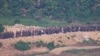 北韓士兵本月第三度越過邊界南韓鳴槍示警