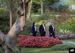 中國領導人習近平在廣州市的一個花園散步。 （2023年4月7日）