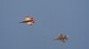 US vows to stay ahead of China, using AI for fighter jets, navigation