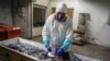 Countries struggle to draft 'pandemic treaty' to avoid COVID-era mistakes 
