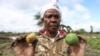 Kenya's dramatic flooding sweeps away a central part of the economy: its farms