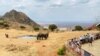Kenya Tourism Officials Say Earnings Jumped 83% Last Year 