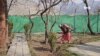 در کودکی به مواد مخدر معتاد شدم – جوان افغان