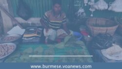ကွမ်းစိုက်ပျိုးရေးရဲ့ အကျိုးအပြစ်