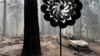 Thousands battle Western US wildfires as smoke puts millions under air quality alerts