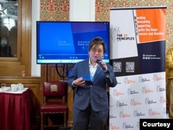 海外港人组织“29原则”执行总监叶七轮