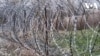 16x9 Image