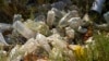 Study Raises Questions About Plastic Pollution's Effect on Heart Health 