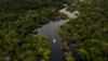 To Find Out How Wildlife Is Doing, Scientists Try Listening