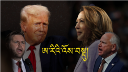 ཨ་རིའི་འོས་བསྡུའི་དྲིལ་བསྒྲགས་ཀྱི་གནས་སྟངས་དང་འོས་མི་རྣམས། 