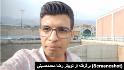رضا محمدحسینی، فعال سیاسی مشروطه‌خواه