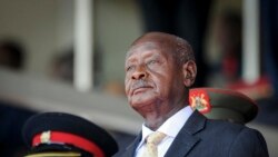 Murisanga