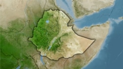 የኦሮሞ ነጻነት ሠራዊት ታጣቂዎች ወደ ማዕከላት እየገቡ መኾኑን ክልሉ አስታወቀ