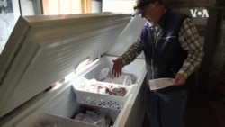 Farm Store

