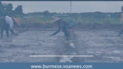 မြန်မာတောင်သူတွေအတွက် အသေးစားချေးငွေ လိုအပ်ချက်