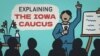 Iowa Caucus - Visual Explainer