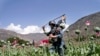 Taliban face rare public uprising against their rule in northeastern Afghanistan