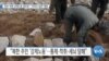 [VOA 뉴스] 유엔 ‘북한 강제노동 제도화’…‘반인도 범죄’ 해당